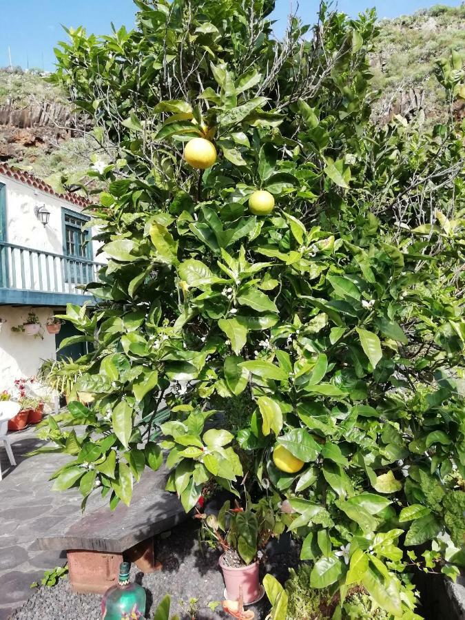 Grosse Finca 19Jh, Pool, Terrasse, Nahe Santa Cruz Santa Cruz de la Palma  Zewnętrze zdjęcie