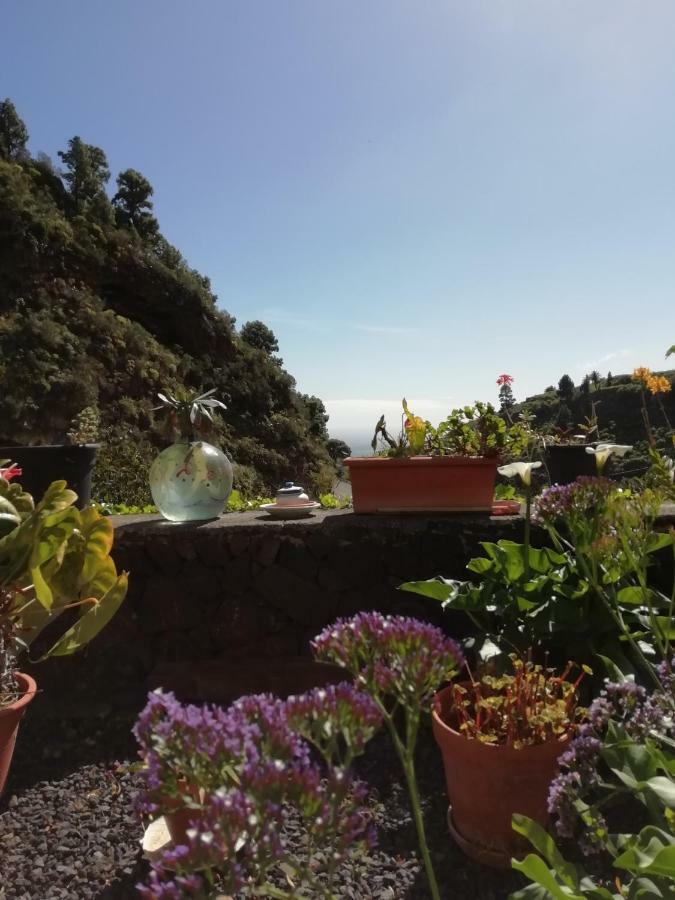 Grosse Finca 19Jh, Pool, Terrasse, Nahe Santa Cruz Santa Cruz de la Palma  Zewnętrze zdjęcie